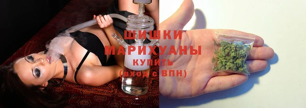 сатива Балабаново