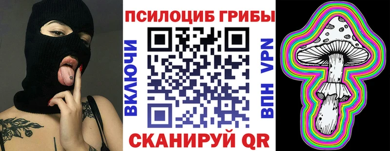 Псилоцибиновые грибы MAGIC MUSHROOMS как найти закладки Ленинск-Кузнецкий