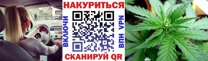 Бошки марихуана Amnesia купить наркотики сайты Ленинск-Кузнецкий